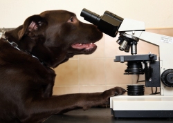 Practice Lab at Weardale Vets